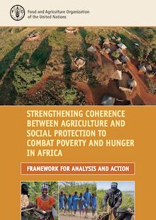Strengthening Coherence between Agriculture and Social Protection to Combat Poverty and Hunger in Africa: Framework for Analysis and Action